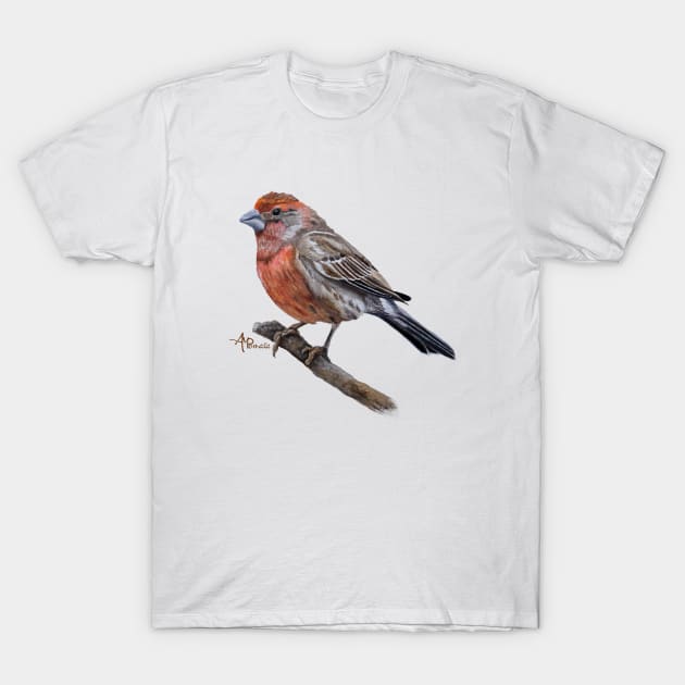 Perched Male House Finch T-Shirt by ampomata